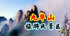 九华山旅游风景区